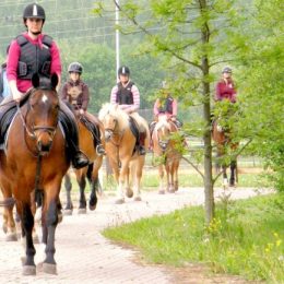 Selský dvůr Braňany: koně na vyjížďce