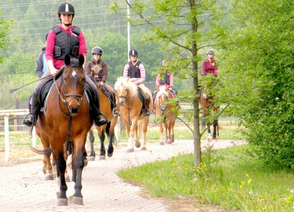 Selský dvůr Braňany: koně na vyjížďce
