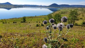 Jezero Most