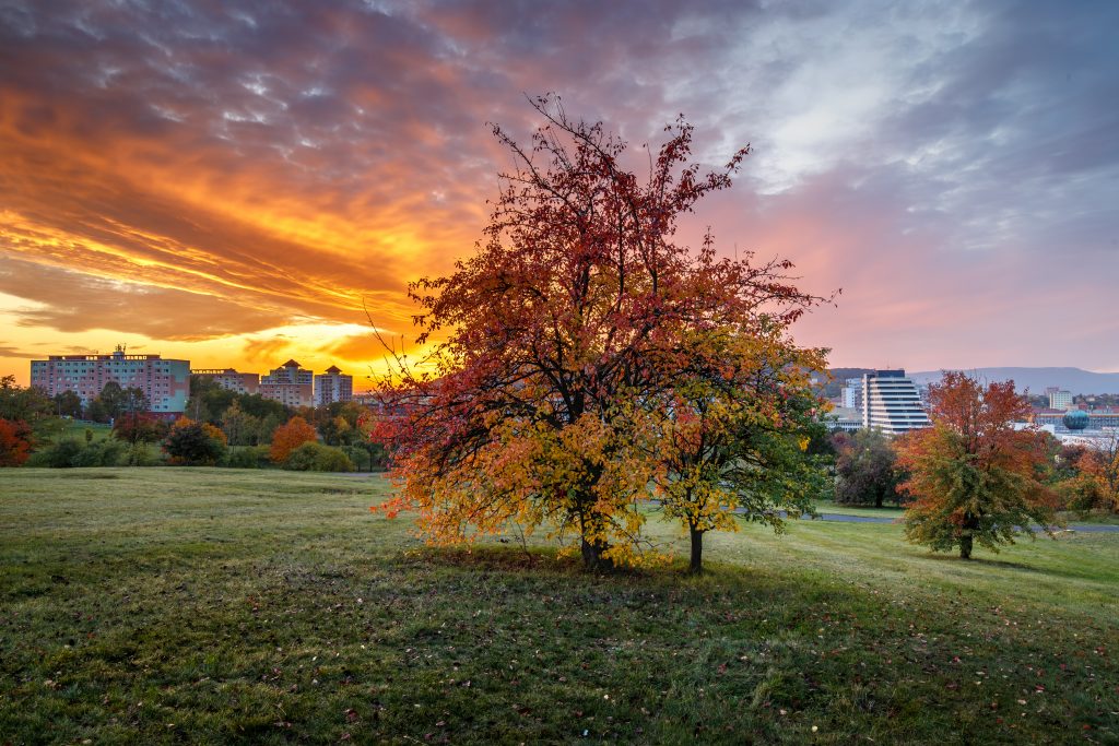 Fotografie: Park Šibeník na podzim