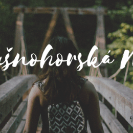 Obrázek: Krušnohorská NEJ