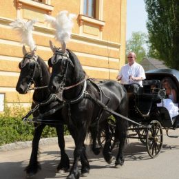 Selský dvůr Braňany: kočár s koňmi